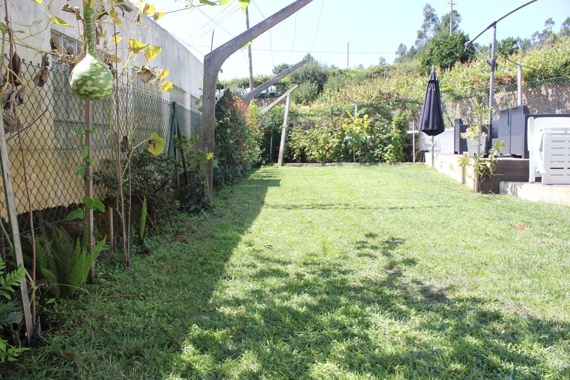Villa Casa Do Porto Carreiro Oliveira de Azeméis Exterior foto