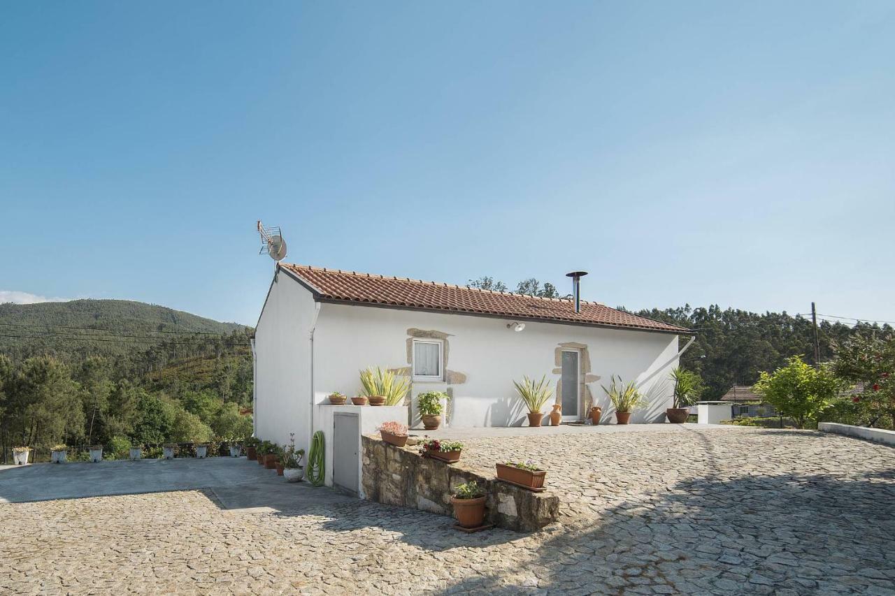 Villa Casa Do Porto Carreiro Oliveira de Azeméis Exterior foto