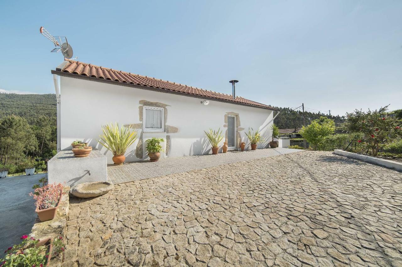 Villa Casa Do Porto Carreiro Oliveira de Azeméis Exterior foto
